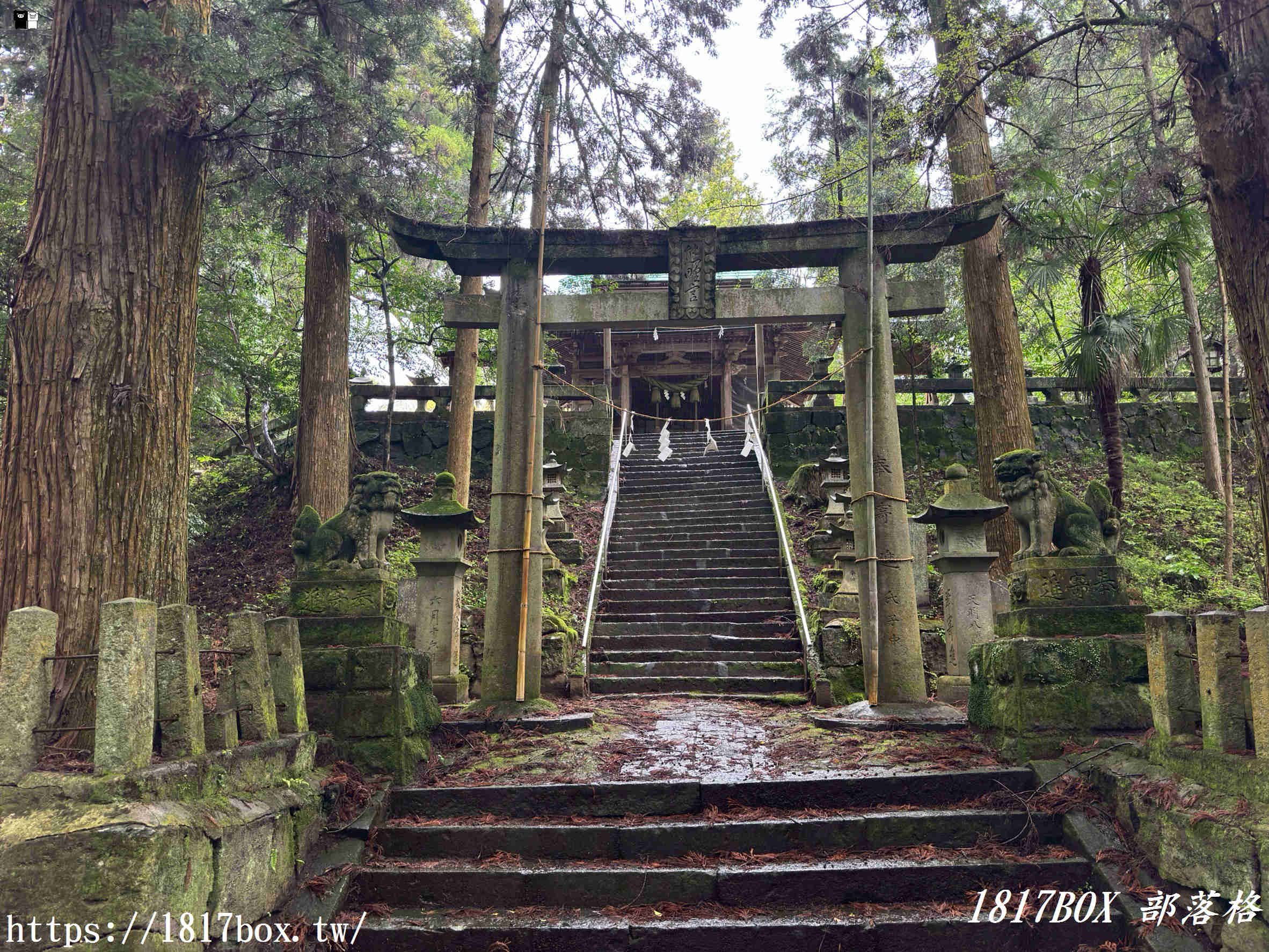 【熊本秘境】走進動漫神隱世界！上色見熊野座神社一日遊：交通、巨石傳說與穿梭青苔鳥居的奇幻旅程