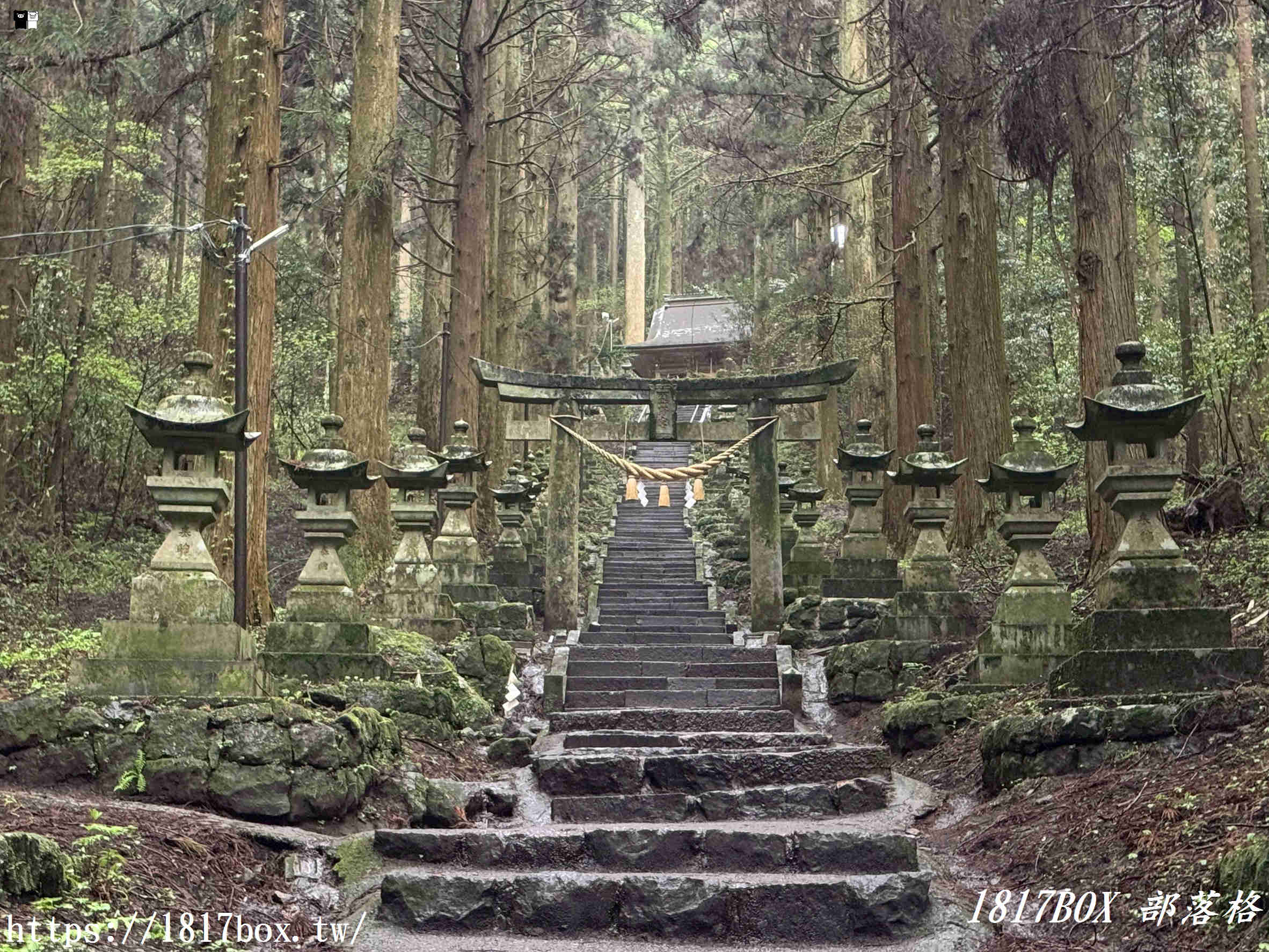 【熊本秘境】走進動漫神隱世界！上色見熊野座神社一日遊：交通、巨石傳說與穿梭青苔鳥居的奇幻旅程