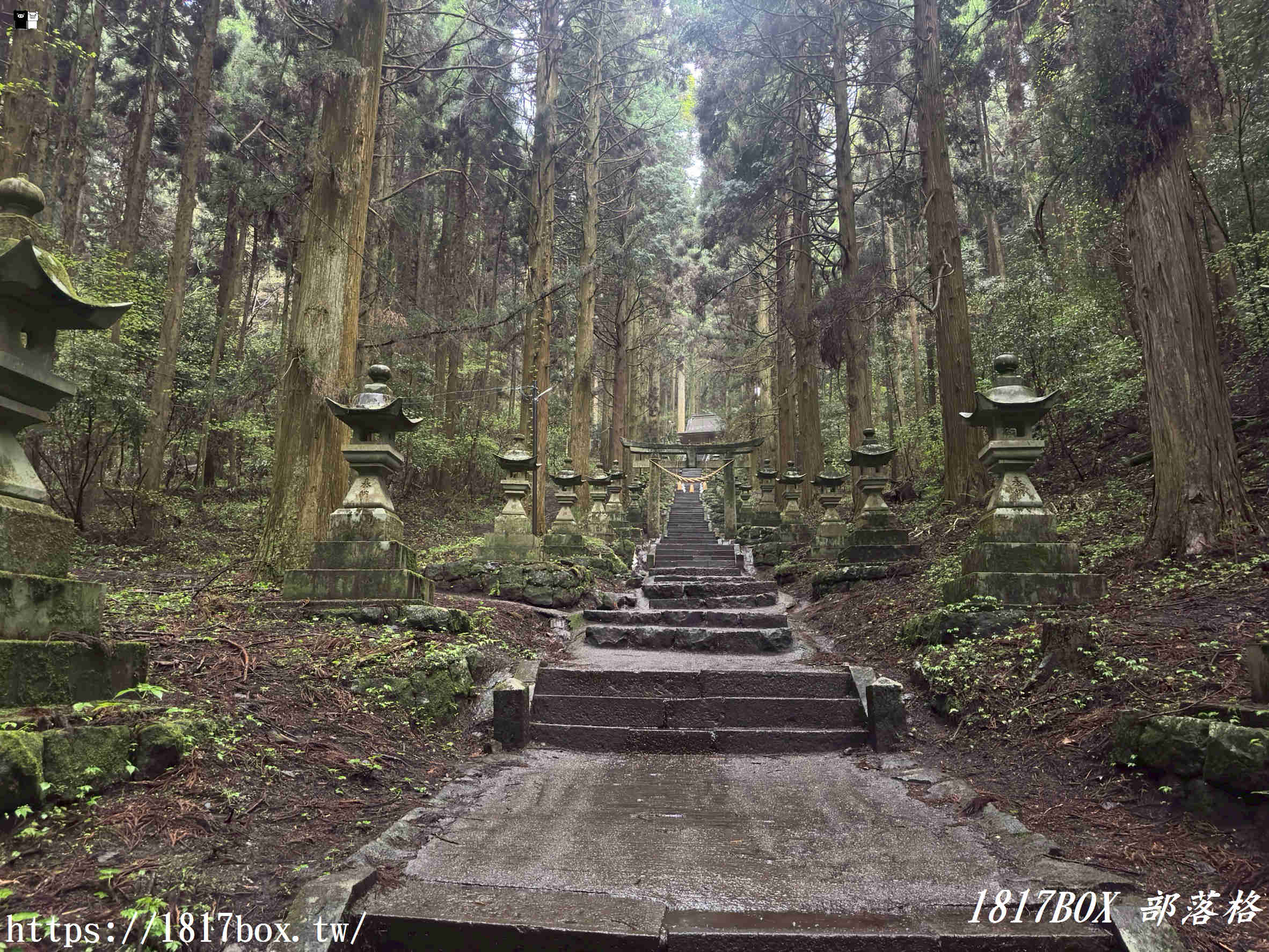 【熊本秘境】走進動漫神隱世界！上色見熊野座神社一日遊：交通、巨石傳說與穿梭青苔鳥居的奇幻旅程