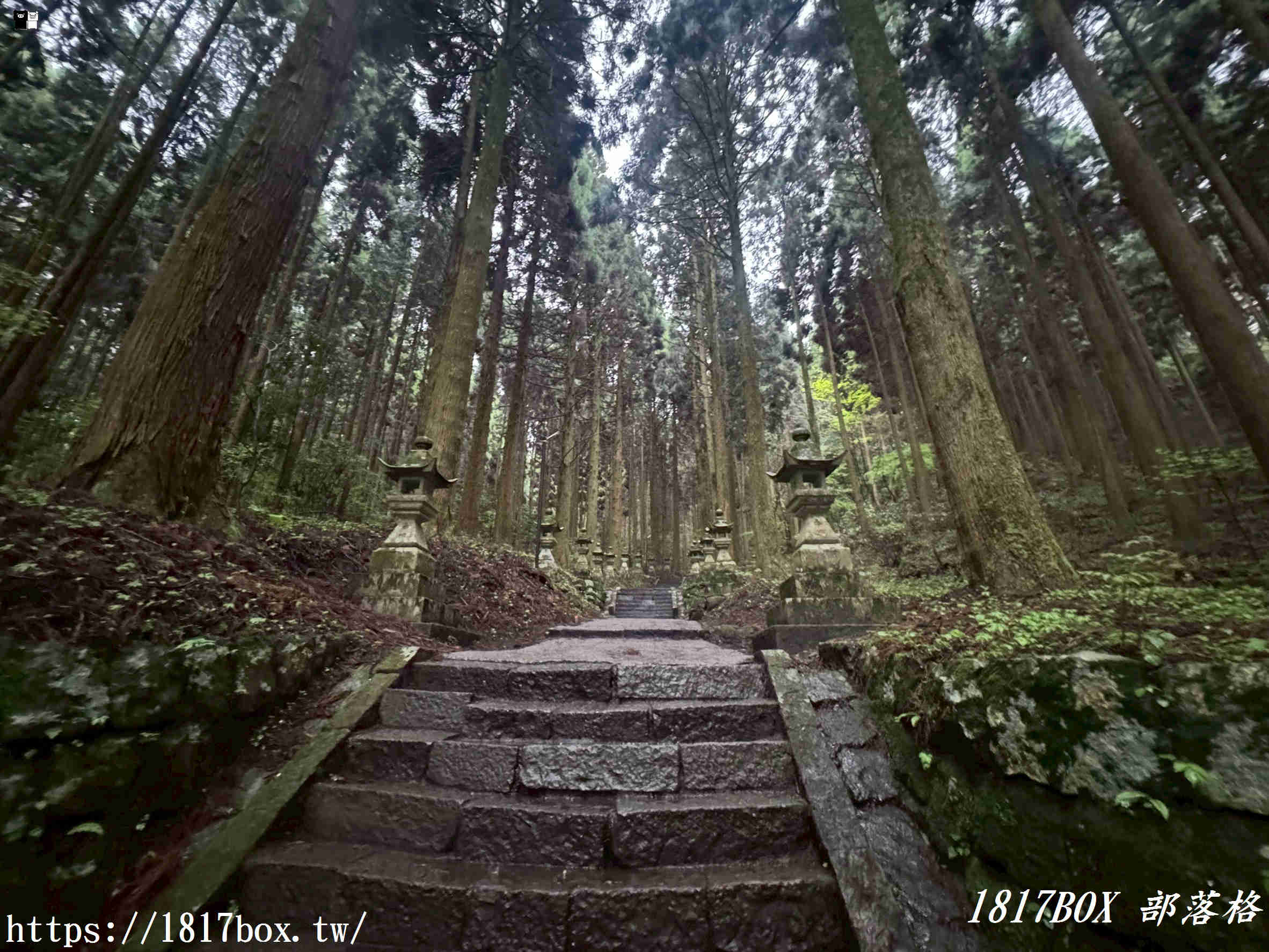【熊本秘境】走進動漫神隱世界！上色見熊野座神社一日遊：交通、巨石傳說與穿梭青苔鳥居的奇幻旅程