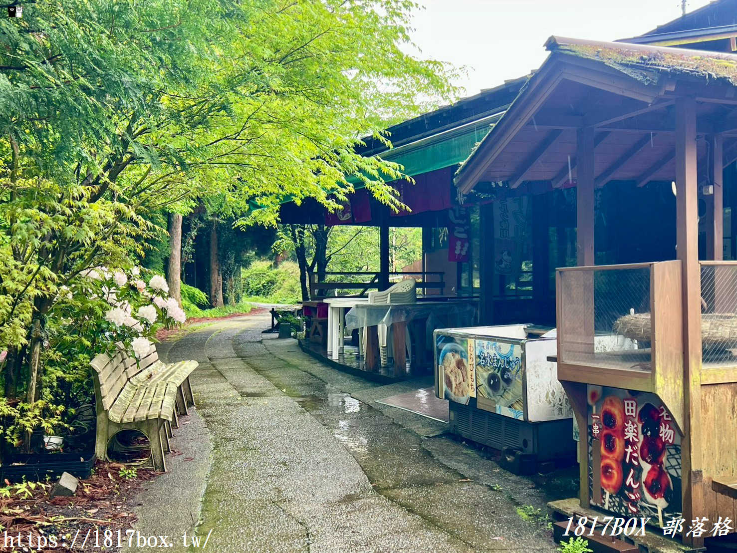 【2026熊本自由行】一飲傾心的純淨神泉！南阿蘇「白川水源」療癒全攻略：交通、門票、必吃美食看這篇就夠