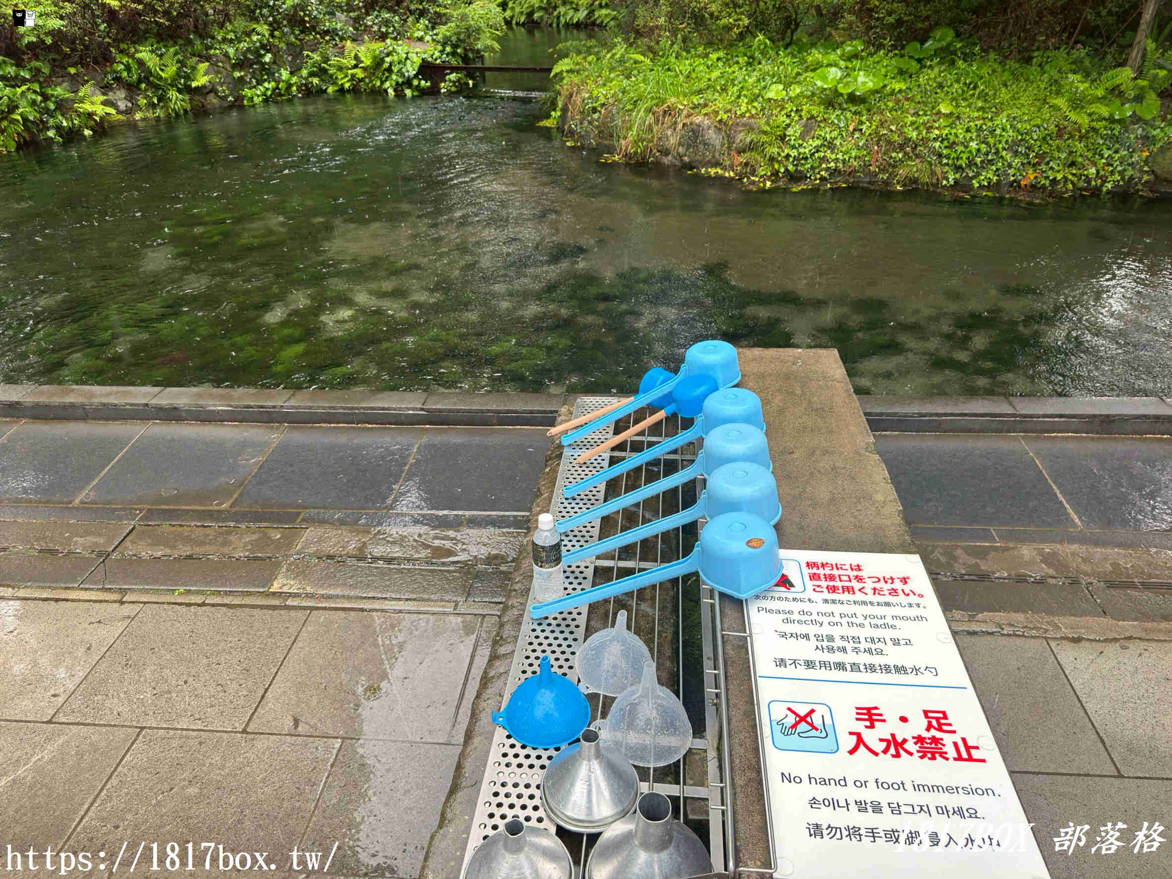 【2026熊本自由行】一飲傾心的純淨神泉！南阿蘇「白川水源」療癒全攻略：交通、門票、必吃美食看這篇就夠