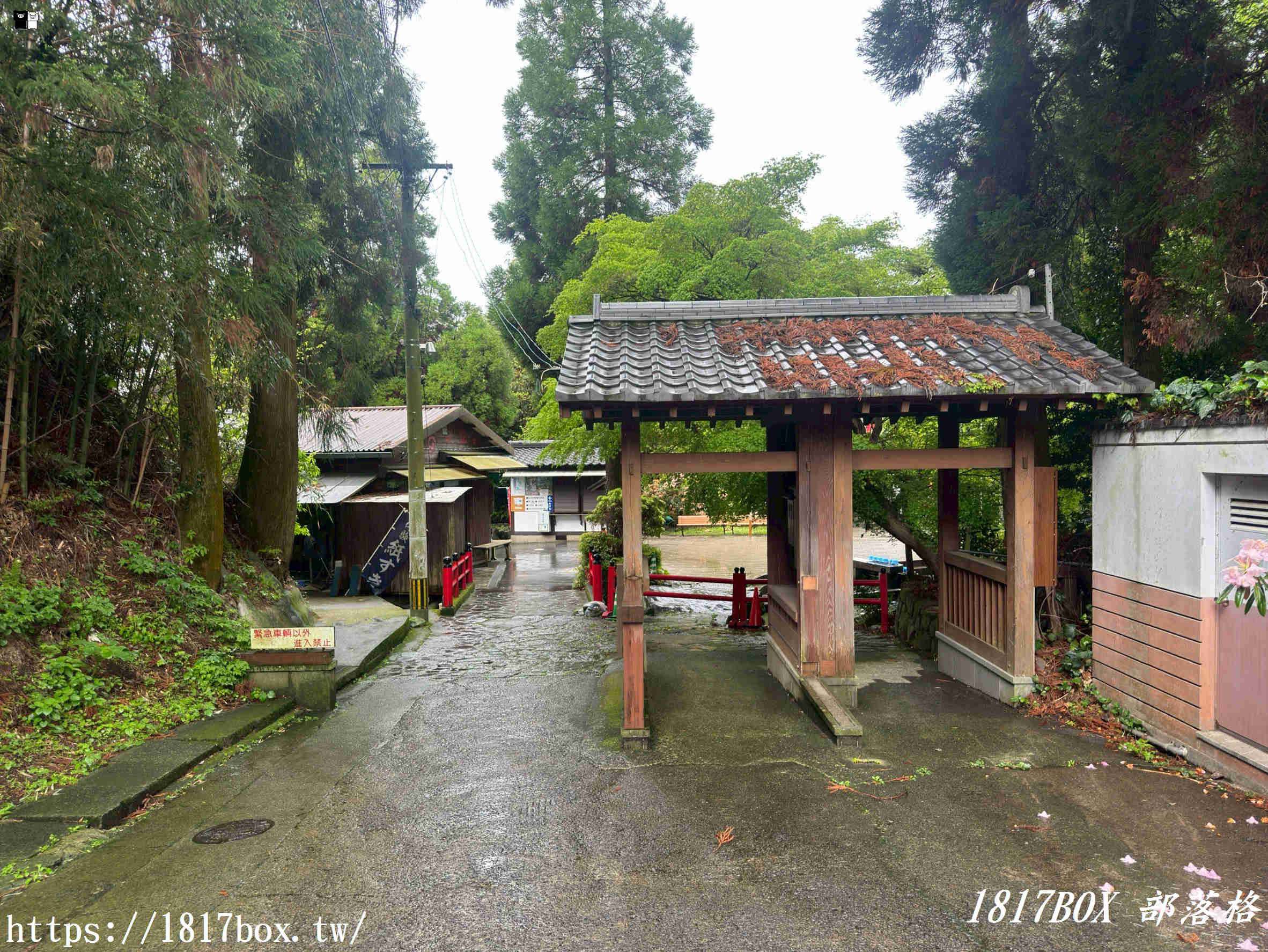 【2026熊本自由行】一飲傾心的純淨神泉！南阿蘇「白川水源」療癒全攻略：交通、門票、必吃美食看這篇就夠
