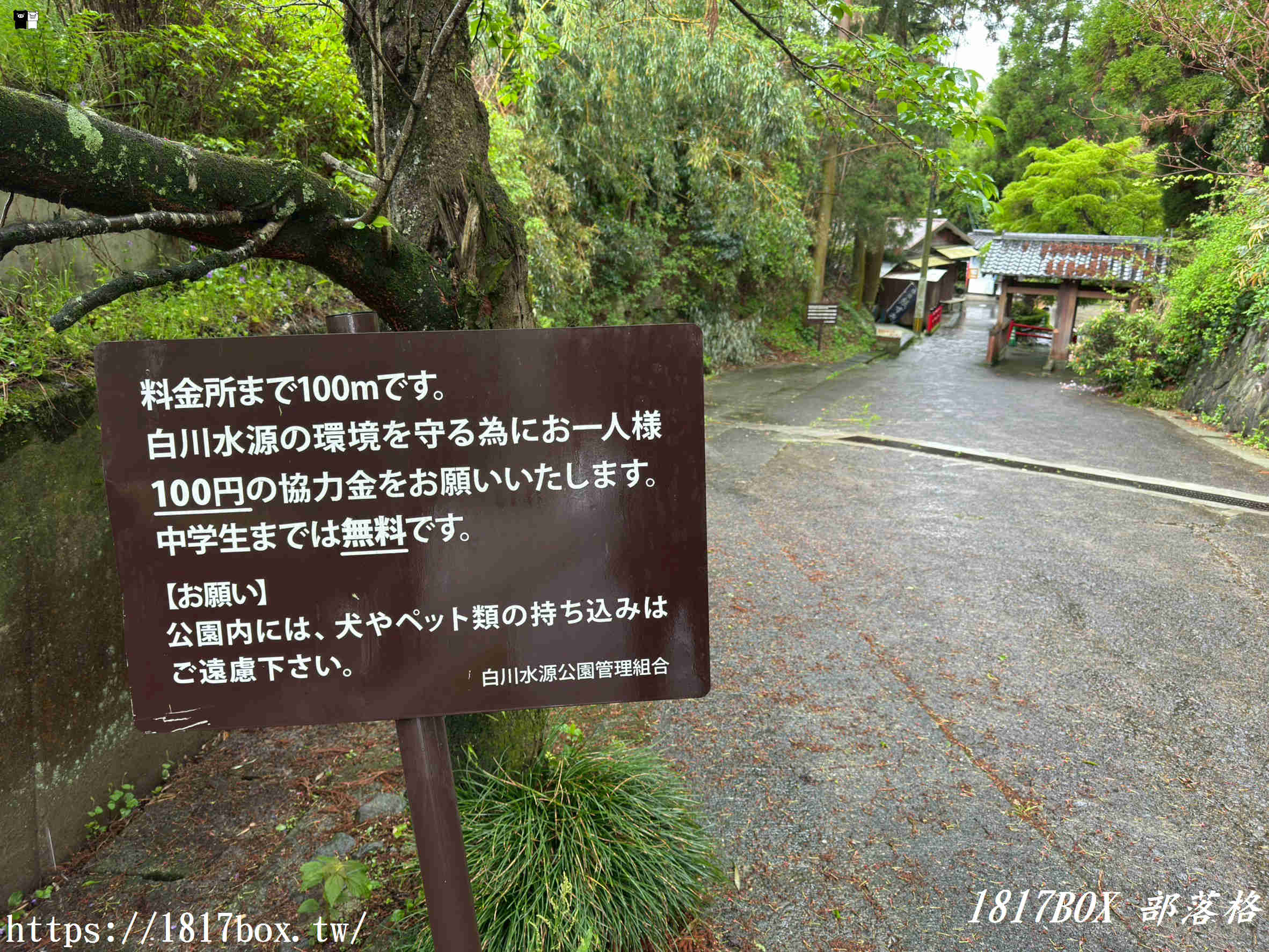 【2026熊本自由行】一飲傾心的純淨神泉！南阿蘇「白川水源」療癒全攻略：交通、門票、必吃美食看這篇就夠