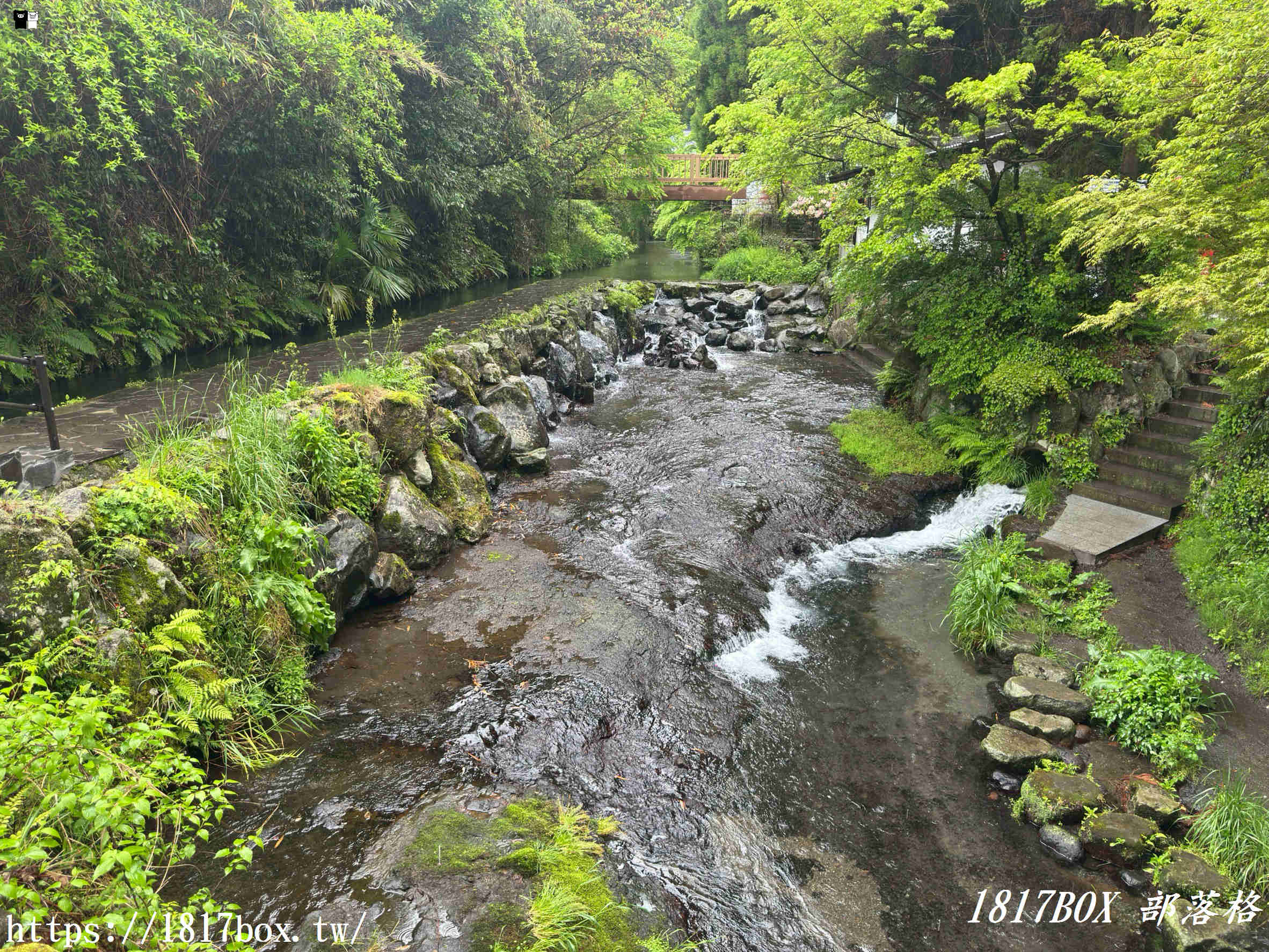 【2026熊本自由行】一飲傾心的純淨神泉！南阿蘇「白川水源」療癒全攻略：交通、門票、必吃美食看這篇就夠