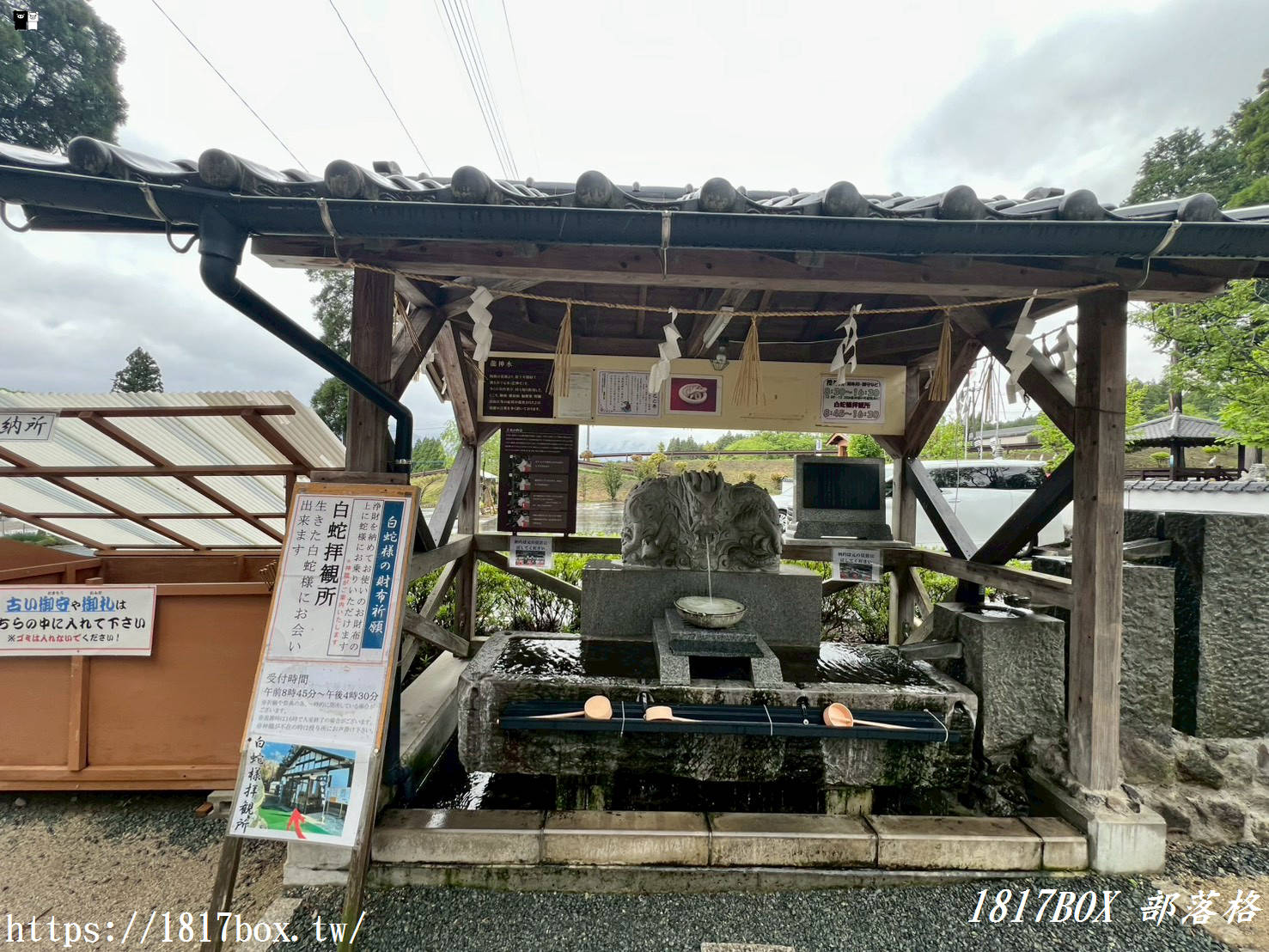 財運爆棚新地標！南阿蘇「阿蘇白水龍神權現」白蛇神社求財必訪，活體白蛇讓人偏財運大開！