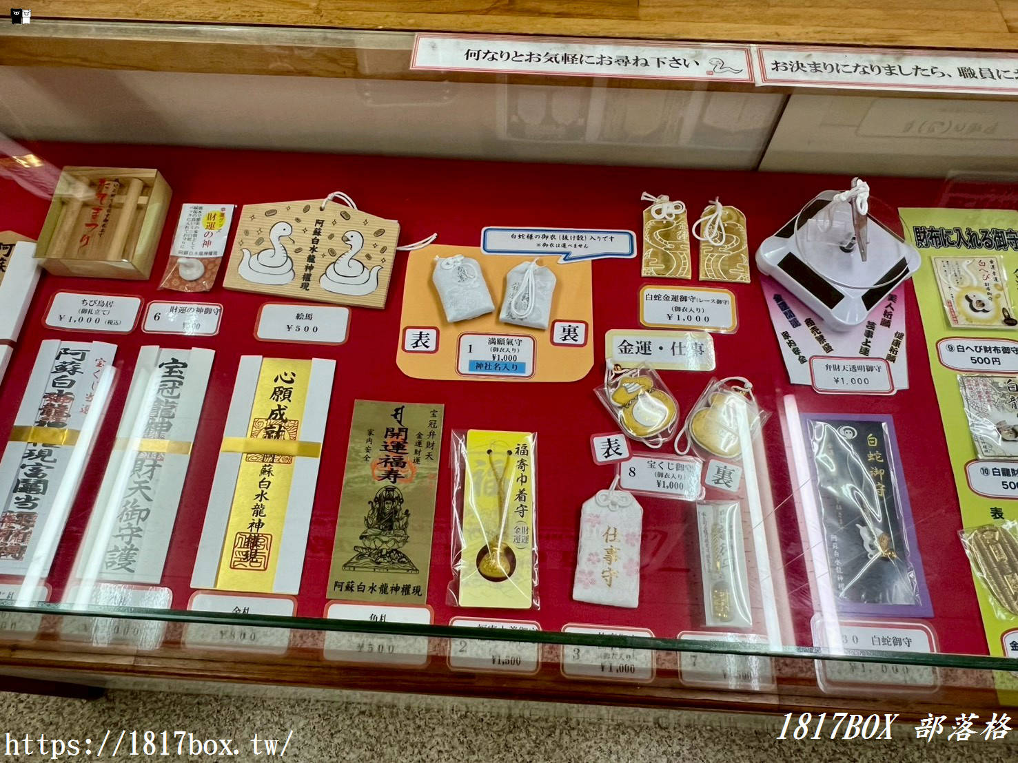 財運爆棚新地標！南阿蘇「阿蘇白水龍神權現」白蛇神社求財必訪，活體白蛇讓人偏財運大開！