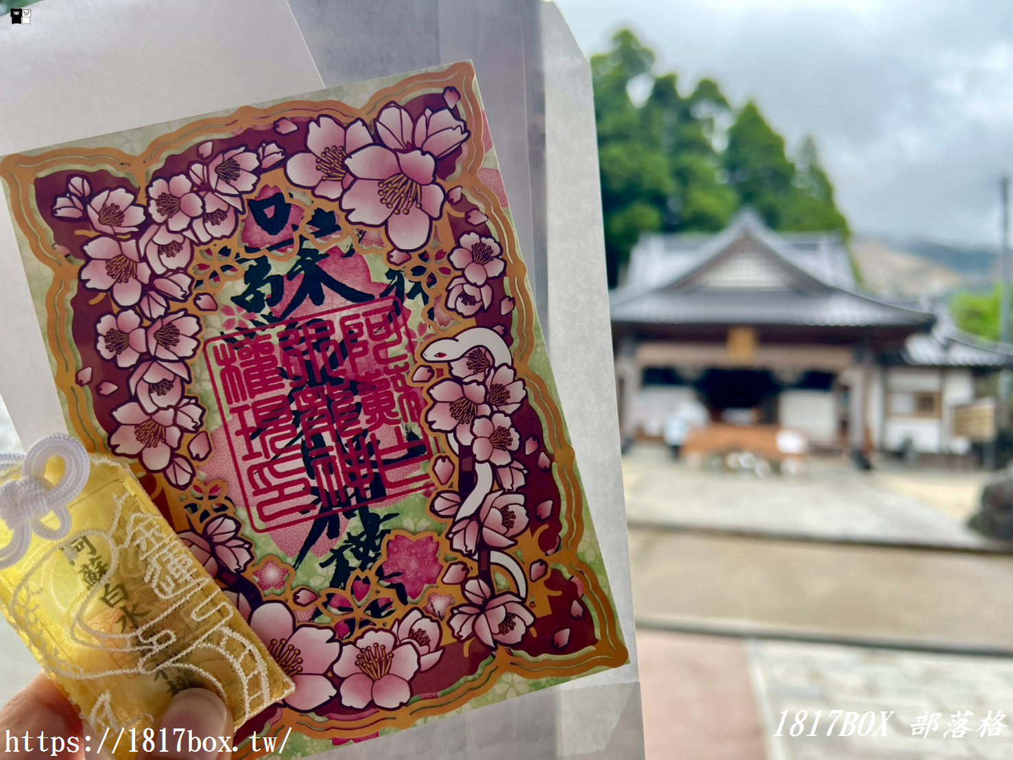 財運爆棚新地標！南阿蘇「阿蘇白水龍神權現」白蛇神社求財必訪，活體白蛇讓人偏財運大開！