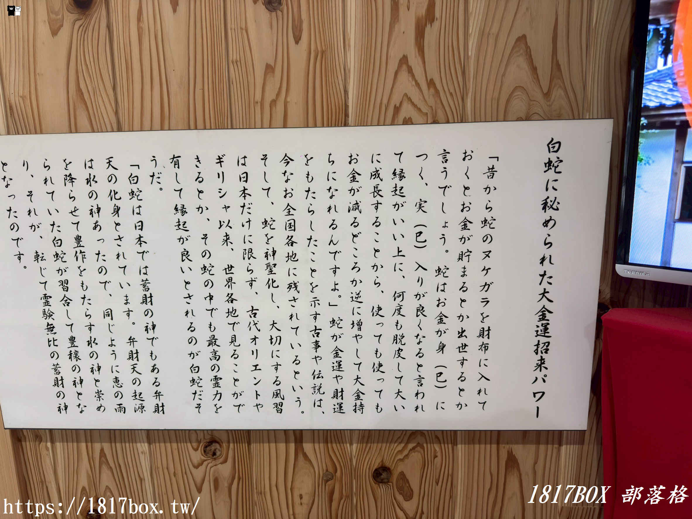 財運爆棚新地標！南阿蘇「阿蘇白水龍神權現」白蛇神社求財必訪，活體白蛇讓人偏財運大開！