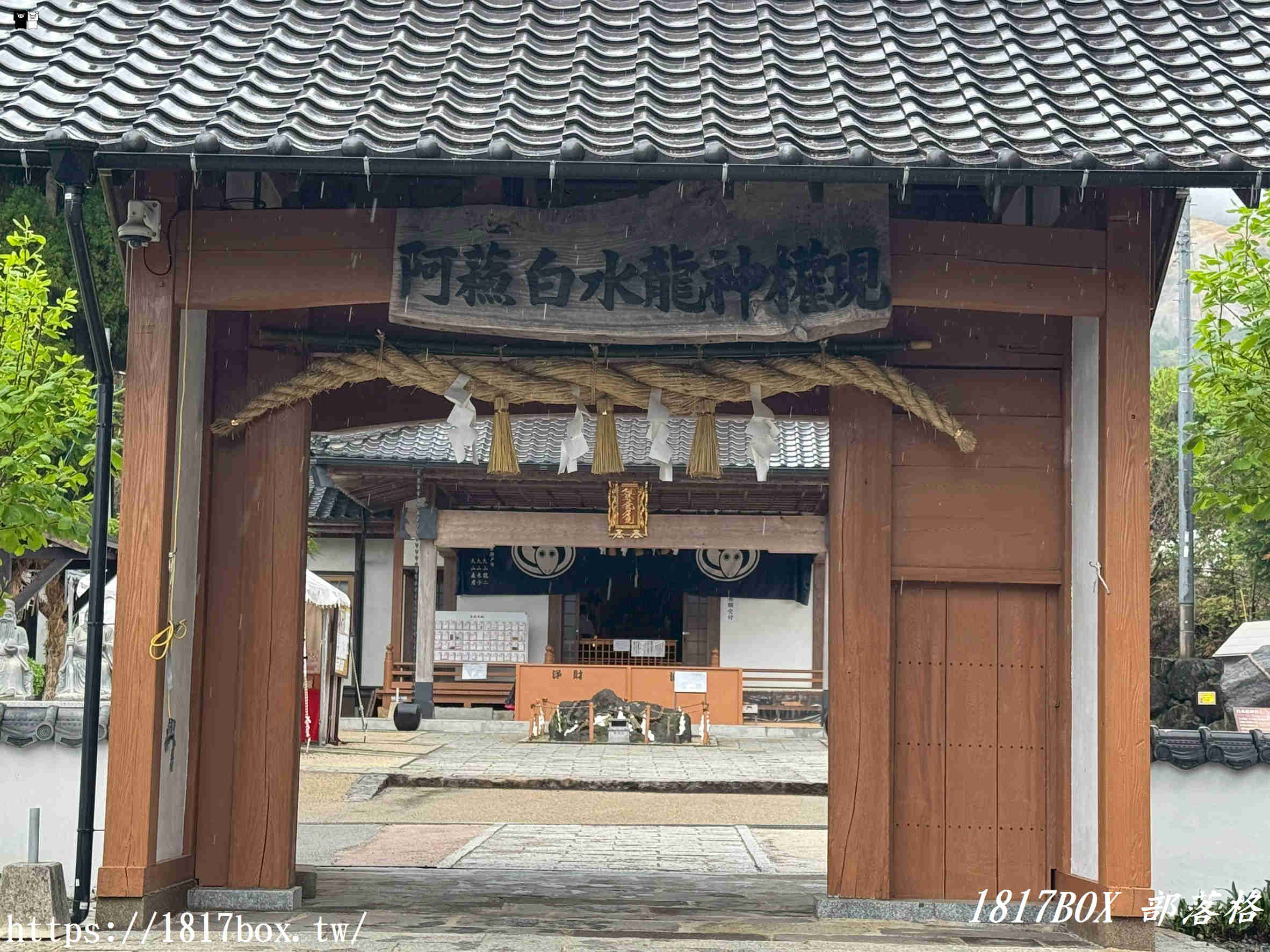 財運爆棚新地標！南阿蘇「阿蘇白水龍神權現」白蛇神社求財必訪，活體白蛇讓人偏財運大開！