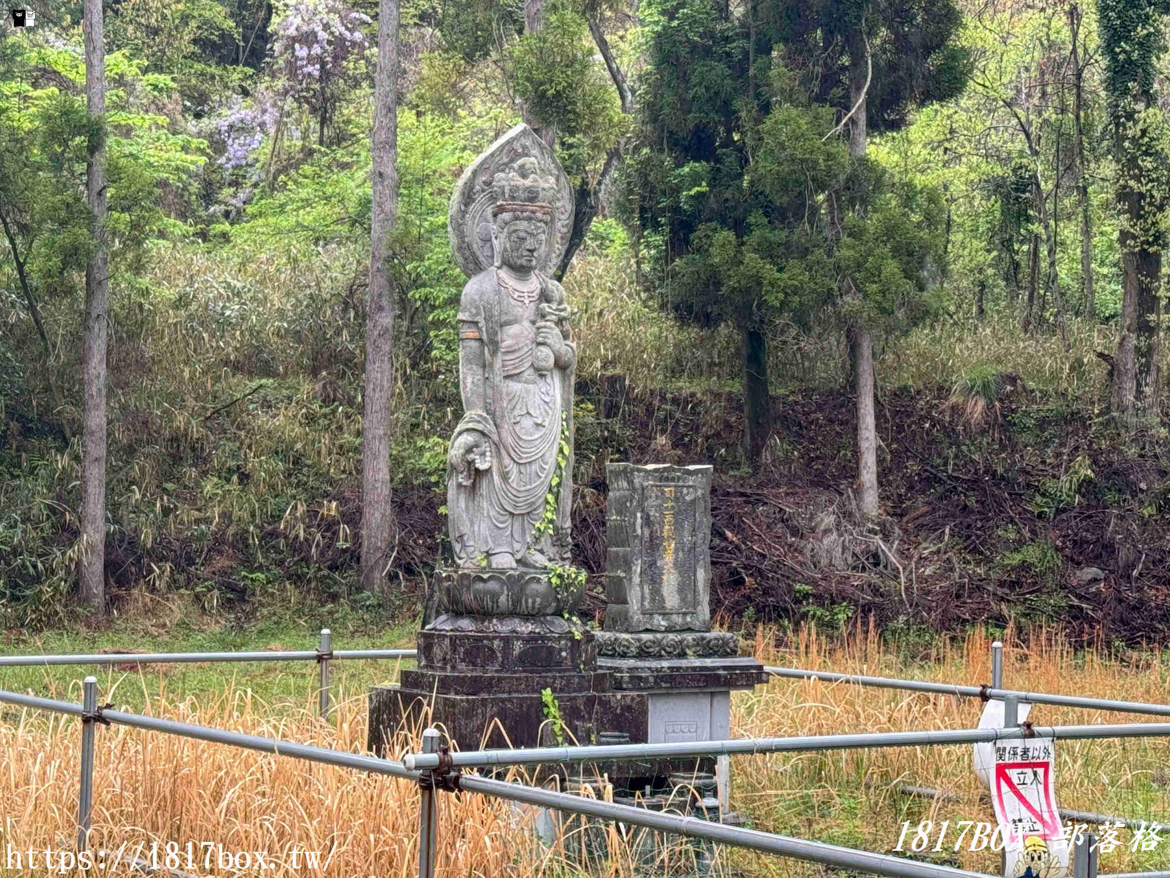 走進日本熊本的異世界！南阿蘇神祕奇景「赤鬼青鬼之門」，通往深山瀑布的地獄入口？