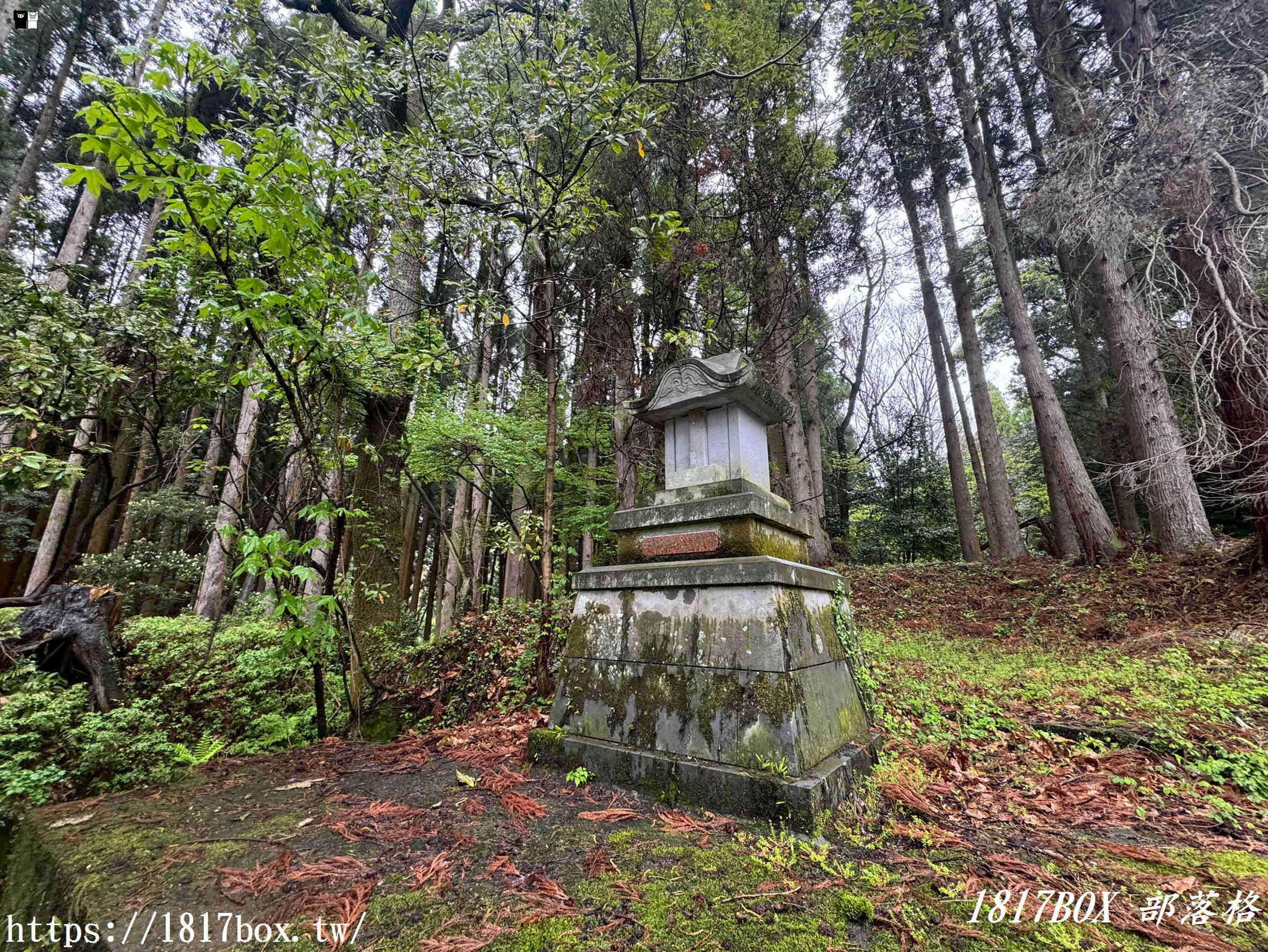 走進日本熊本的異世界！南阿蘇神祕奇景「赤鬼青鬼之門」，通往深山瀑布的地獄入口？