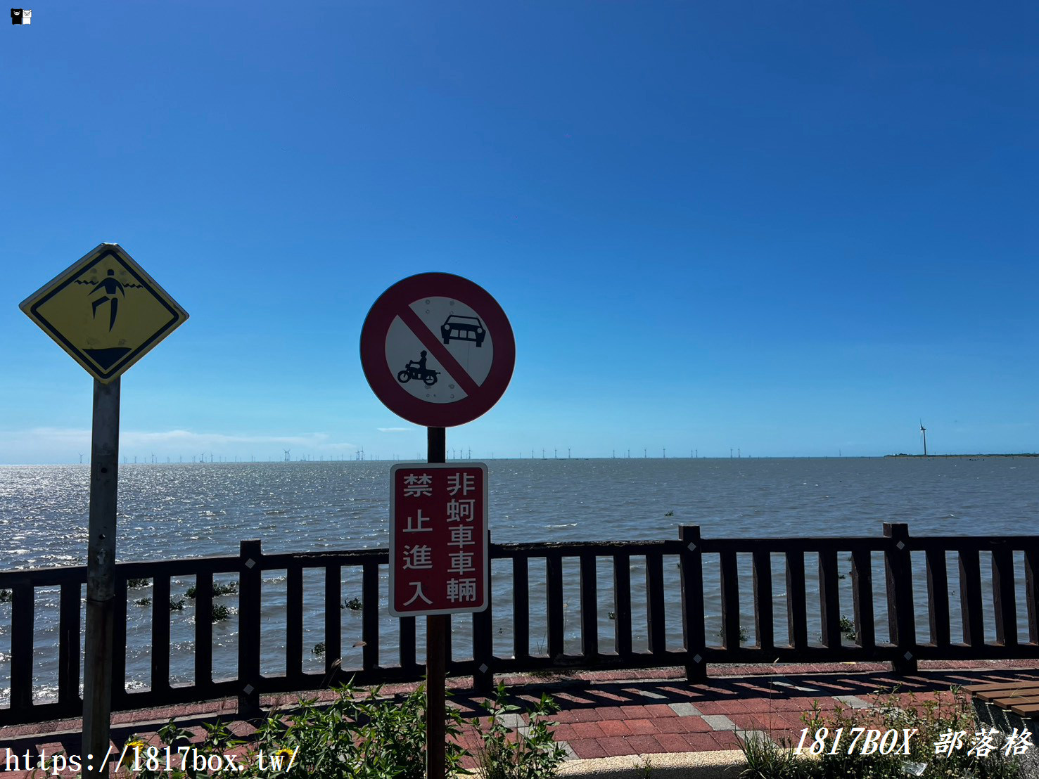 彰化海線私房景點｜藍天白雲下的「芳苑漁民廣場」與絕美海堤，走進紅樹林海空步道，感受最道地的討海人風情！