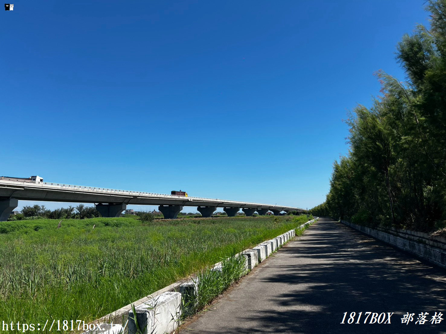 彰化海線私房景點｜藍天白雲下的「芳苑漁民廣場」與絕美海堤，走進紅樹林海空步道，感受最道地的討海人風情！