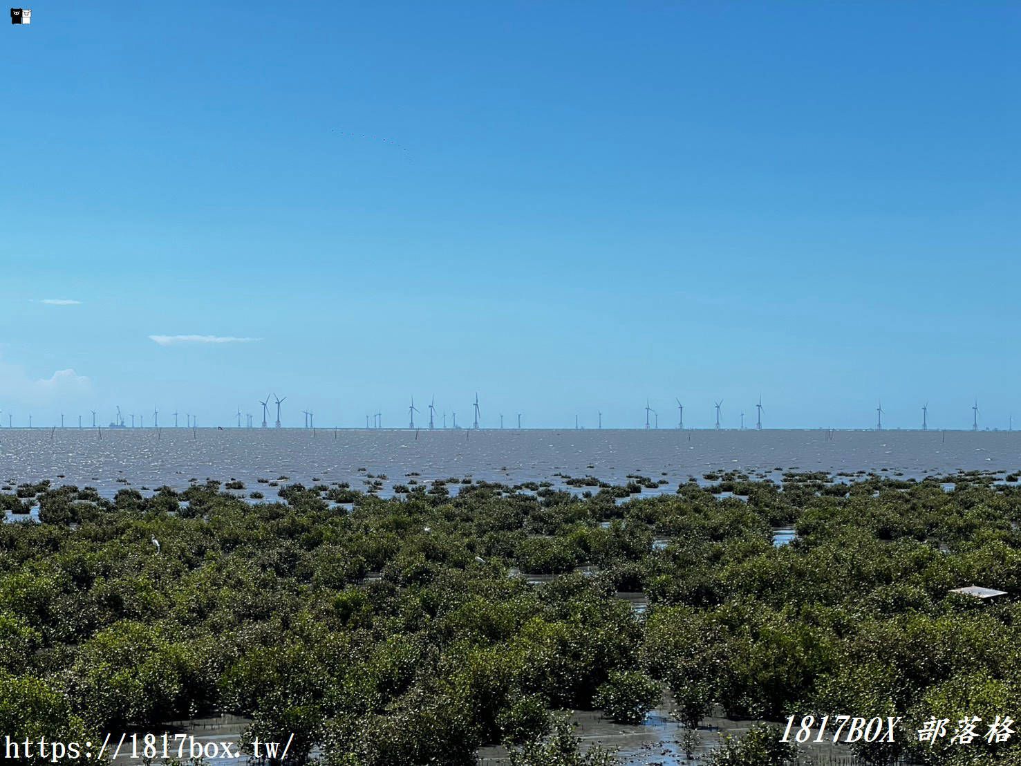 彰化海線私房景點｜藍天白雲下的「芳苑漁民廣場」與絕美海堤，走進紅樹林海空步道，感受最道地的討海人風情！