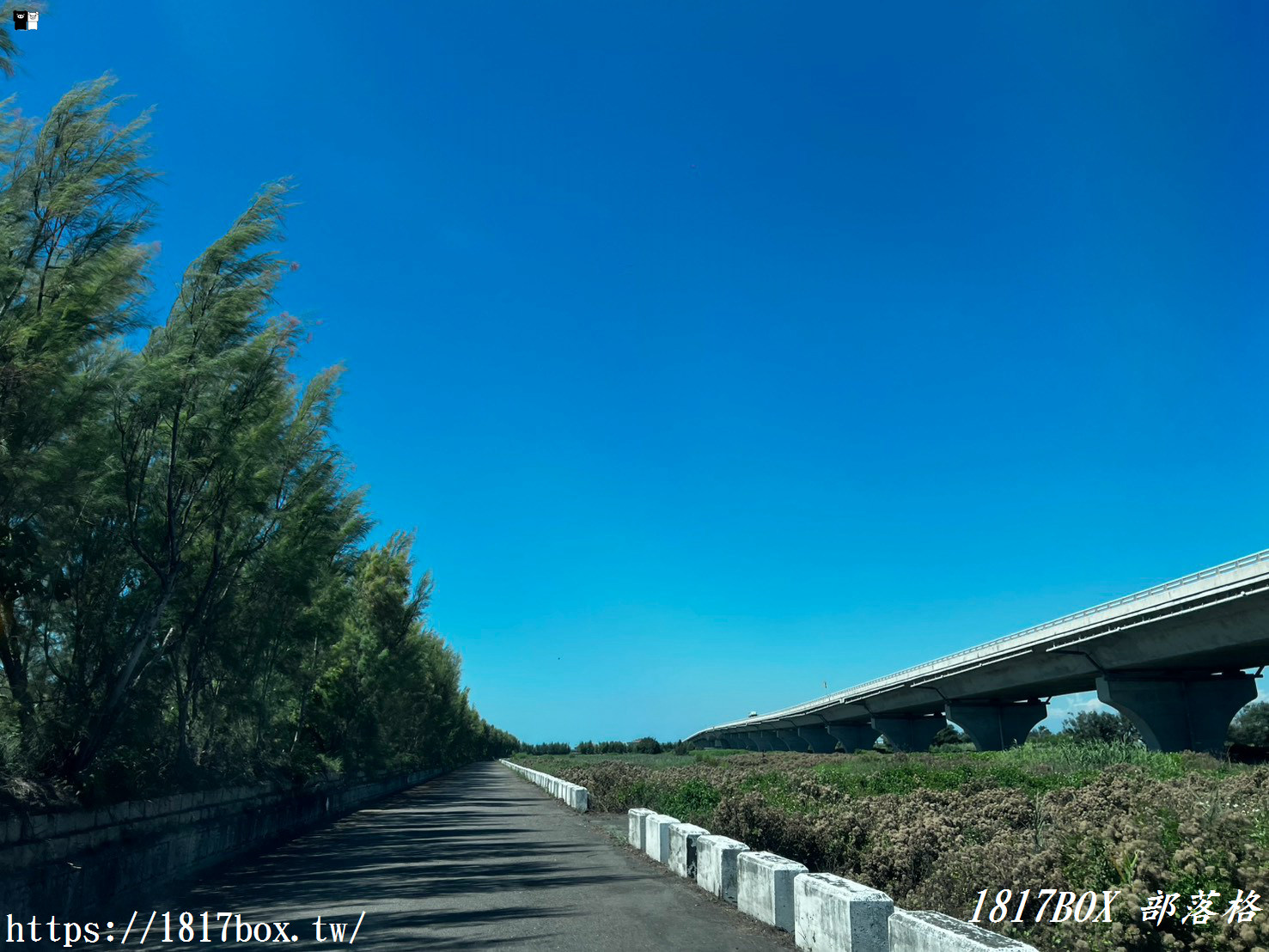 彰化海線私房景點｜藍天白雲下的「芳苑漁民廣場」與絕美海堤，走進紅樹林海空步道，感受最道地的討海人風情！