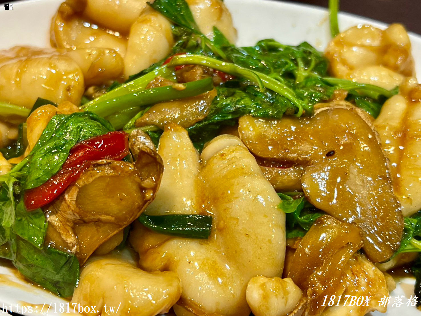 【台中美食】阿誌蔬菜羊肉爐！清爽系「蘆筍羊肉鍋」鮮甜回甘，招牌刷生肉片、神級醬燒烏賊標老饕狂推！