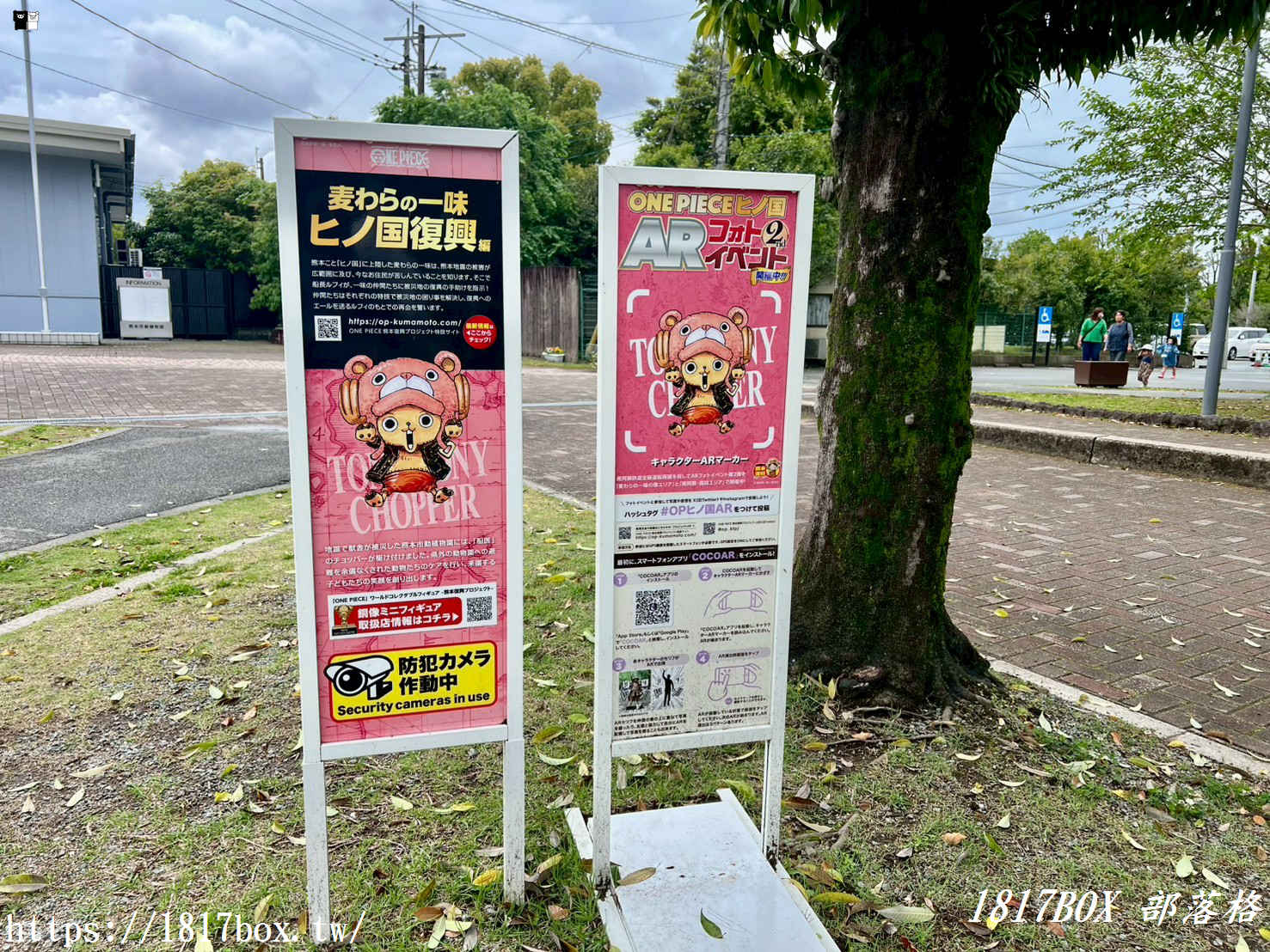 航海王迷必朝聖！阿蘇熊本「喬巴銅像」超萌現身：位置、交通與熱門拍照角度全攻略