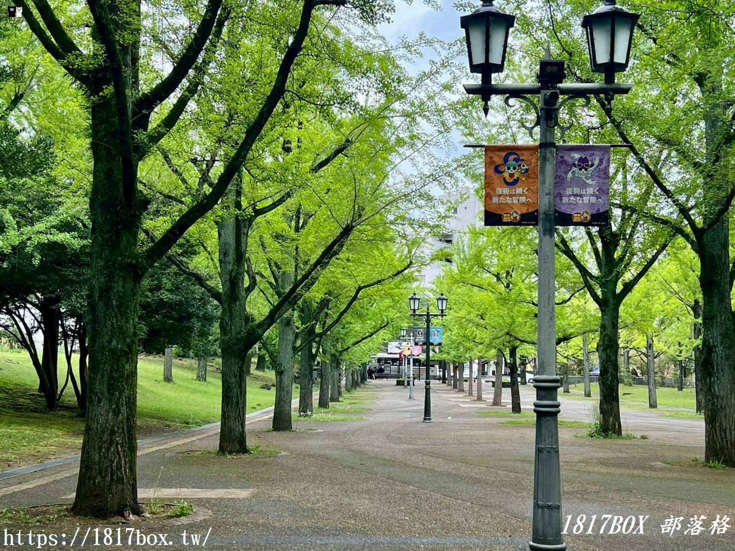 航海王迷必朝聖！熊本「魯夫雕像」全攻略：位置交通、熱門拍照角度與集點限定驚喜