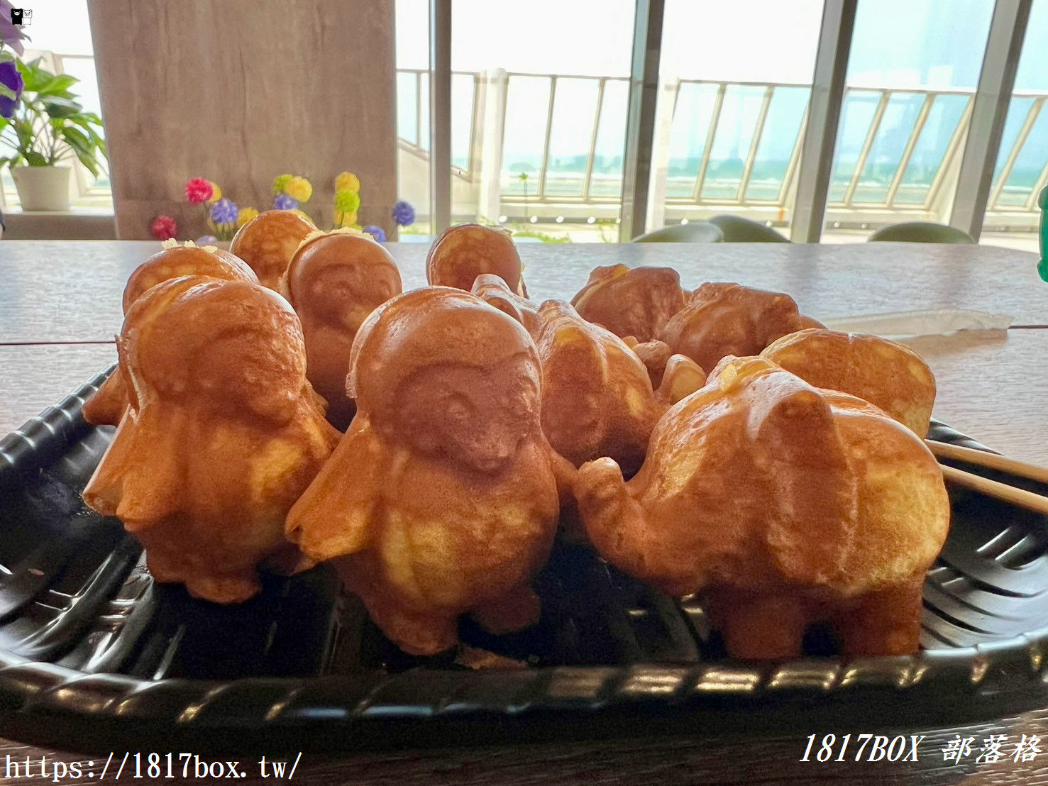 台中海線必訪景點！台中海洋館深度遊記：黑潮大洋缸震撼餵食秀、療癒水母牆、限定企象雞蛋糕與五樓海景下午茶