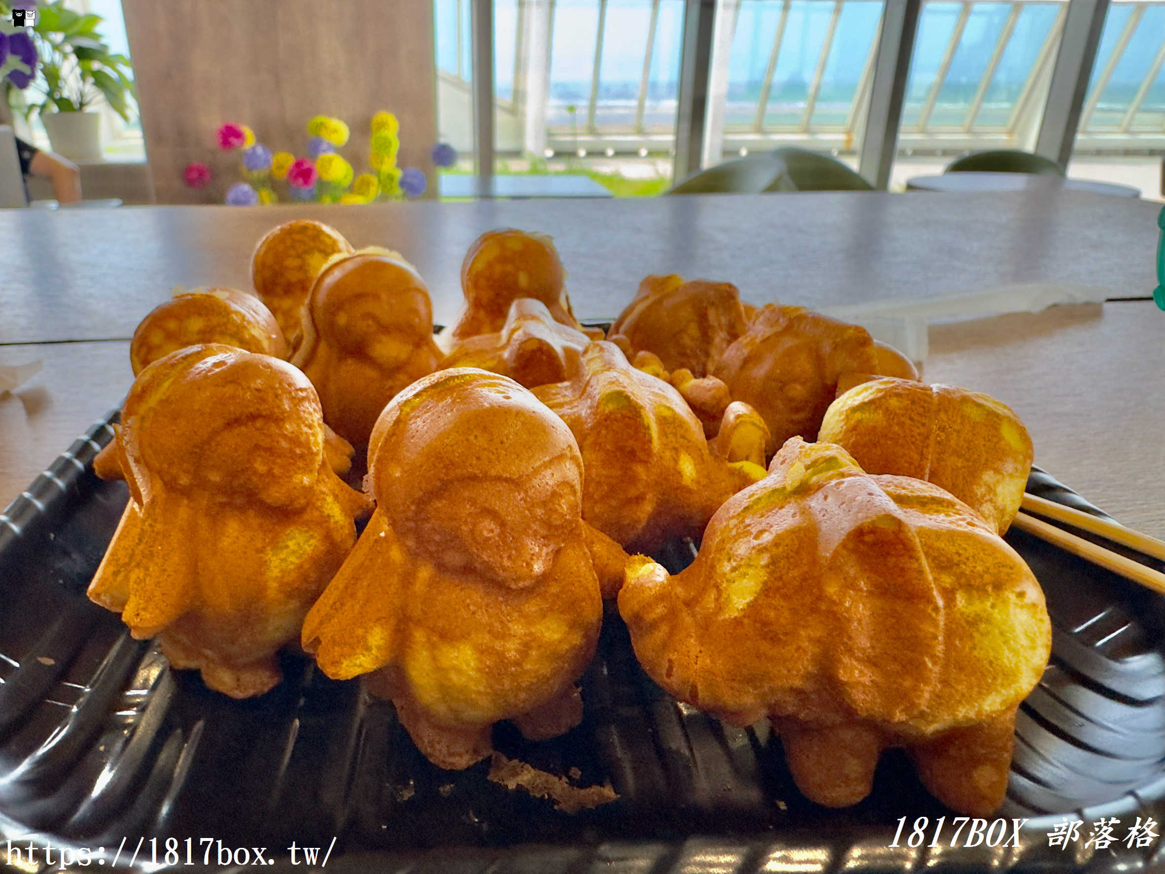 台中海線必訪景點！台中海洋館深度遊記：黑潮大洋缸震撼餵食秀、療癒水母牆、限定企象雞蛋糕與五樓海景下午茶