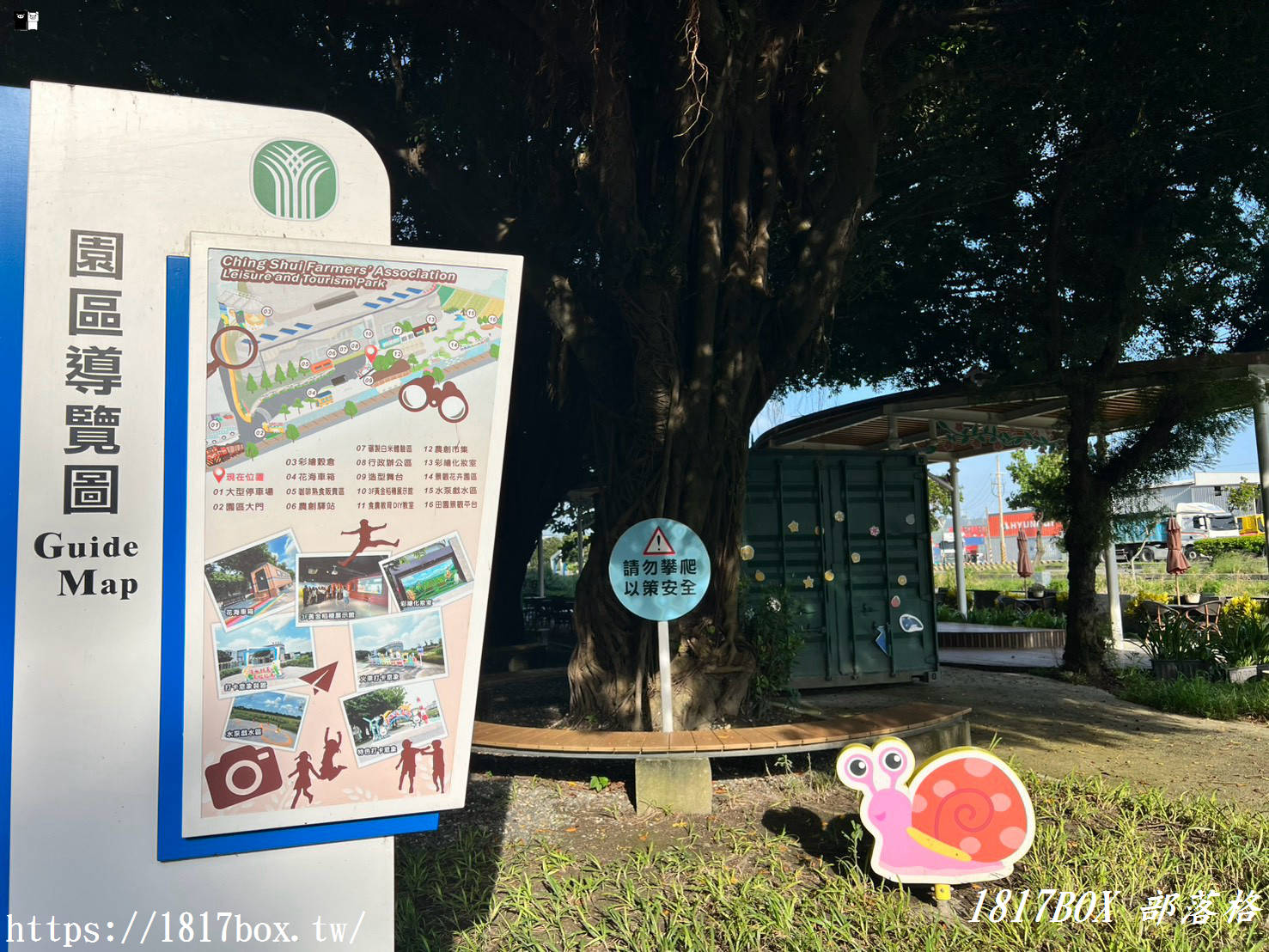網美與親子都瘋狂！清水區農會休閒觀光園區，走入彩虹貨櫃與黃金稻浪的私房秘境