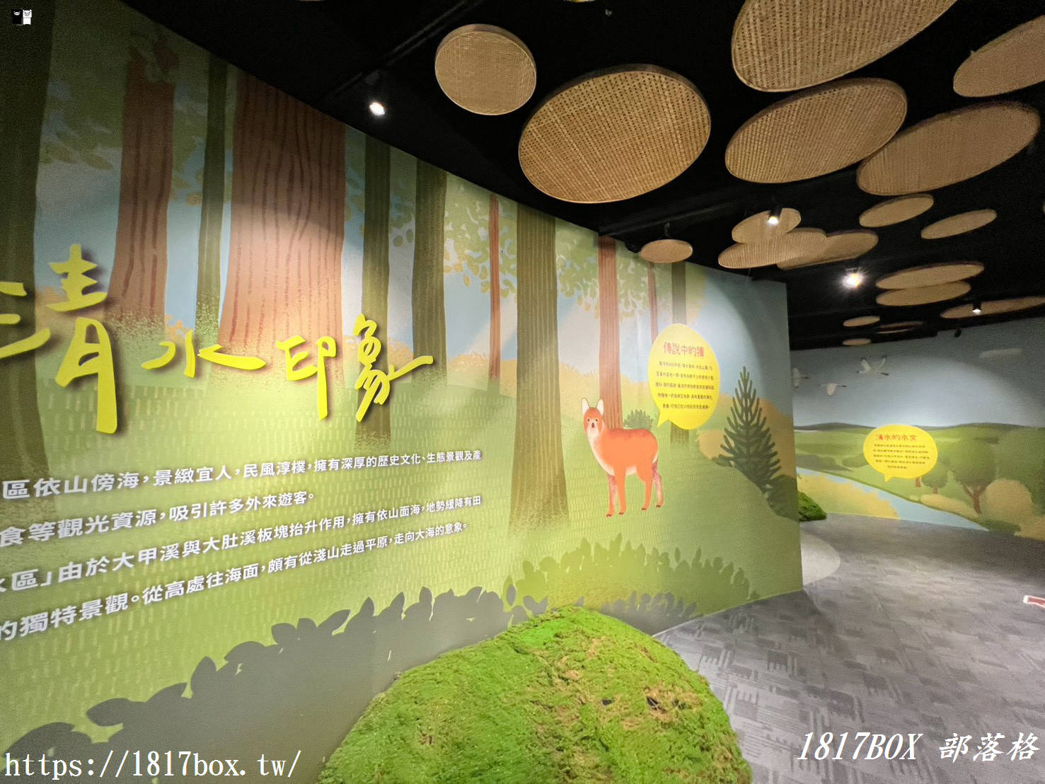 網美與親子都瘋狂！清水區農會休閒觀光園區，走入彩虹貨櫃與黃金稻浪的私房秘境
