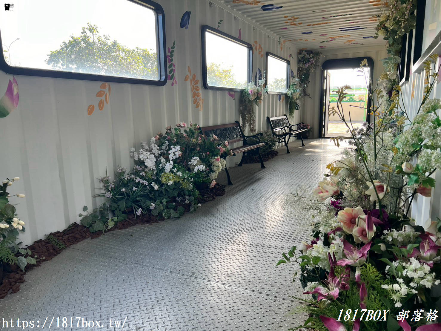 網美與親子都瘋狂！清水區農會休閒觀光園區，走入彩虹貨櫃與黃金稻浪的私房秘境