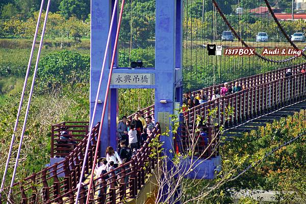 【台南。楠西】永興吊橋。橫跨曾文溪流域唯一僅存的吊橋