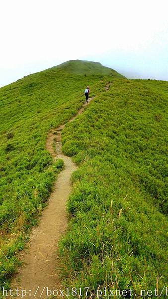 【南投。仁愛】南合歡山。合歡南峰步道。台灣目前發現最高的省府圖根補點。合歡山最輕鬆步道 @1817BOX部落格