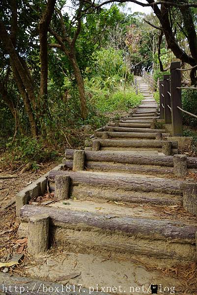 【台中。潭子】聚興山、新田登山步道。挑戰1063階的木棧階梯。依山式蜿蜒而建。眺望豐原地區。賞鷹平台。中部登山健行