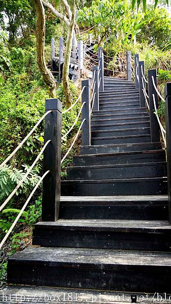 【台中。潭子】聚興山、新田登山步道。挑戰1063階的木棧階梯。依山式蜿蜒而建。眺望豐原地區。賞鷹平台。中部登山健行