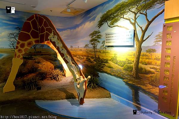 【台南。新市】南台灣最具規模的自然史博物館。首座以骨骼標本展示的博物館。樹谷生活科學館。台南親子旅遊景點 @1817BOX部落格