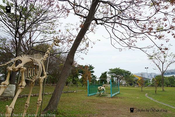 【台南。新市】南台灣最具規模的自然史博物館。首座以骨骼標本展示的博物館。樹谷生活科學館。台南親子旅遊景點 @1817BOX部落格