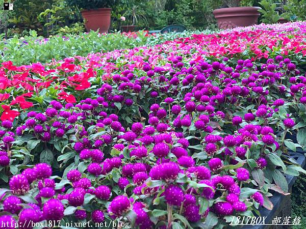 【南投市】歐洲莊園造景。文心園・花園咖啡 Wenxin Garden &#038; Caffè @1817BOX部落格