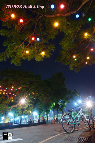 【雲林。斗六】環球科大鳳凰夫妻樹浪漫點燈。夜拍。鳳凰樹。愛月樓
