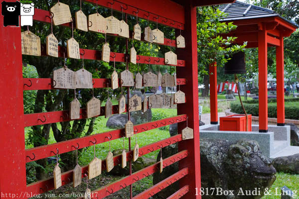 【南投。埔里】在桐花樹下。與日本裏千家茶道茶會相會。牛耳藝術渡假村(牛耳桐花林) @1817BOX部落格