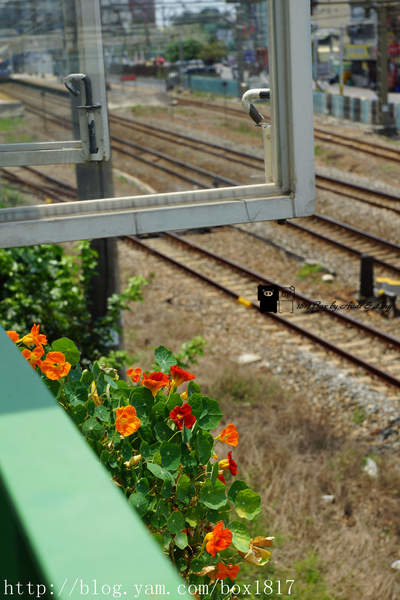 【嘉義。民雄】隱藏版老屋。近距離欣賞火車與鐵道風光。Do right 渡對。充滿藝術氣息的空間