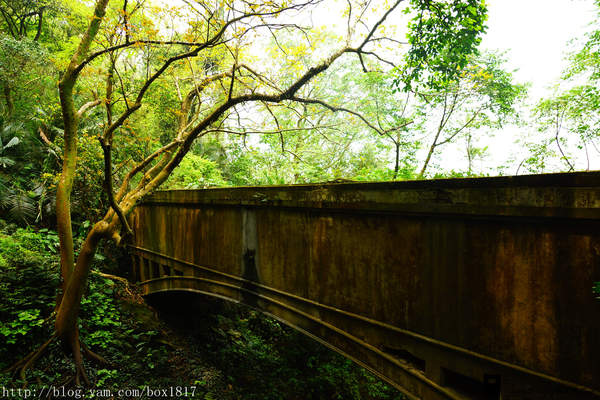 【台中。后里】后里圳水道。隱藏在泰安舊山線月台後方山道。專門給水走的渡槽