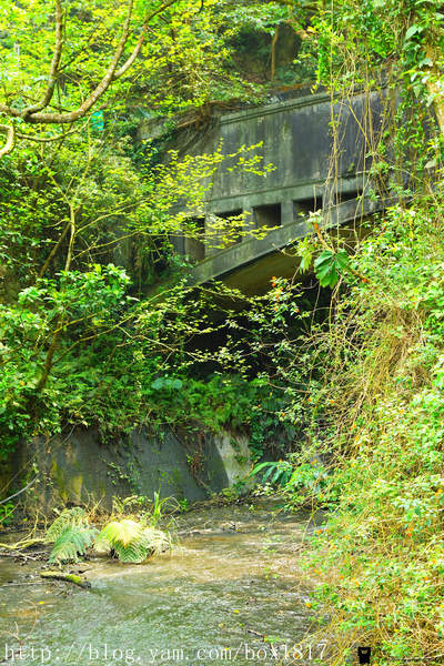【台中。后里】后里圳水道。隱藏在泰安舊山線月台後方山道。專門給水走的渡槽