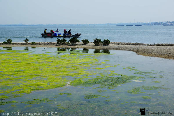 【屏東。東港】海中珍珠蚵殼島。蚵殼堆成的人造島。大鵬灣旅遊景點
