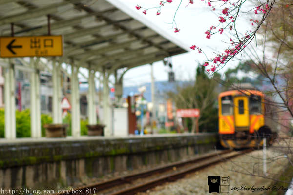 【新竹。橫山】櫻花火車站。幸福列車。橫山火車站S彎道 @1817BOX部落格