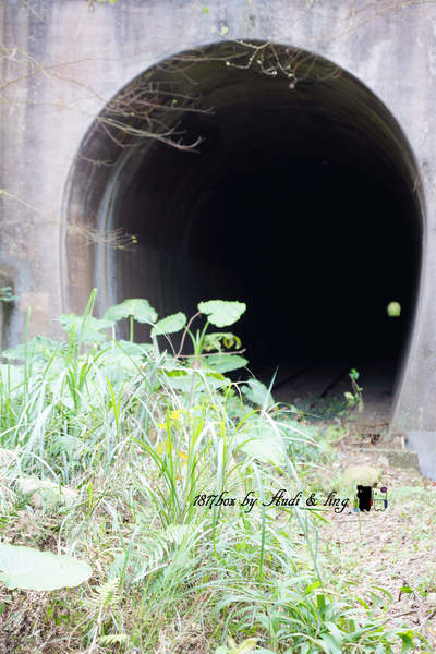 【台中。后里】泰安舊山線。第八號隧道。后里圳磚橋。台灣歷史建築百景之一 @1817BOX部落格