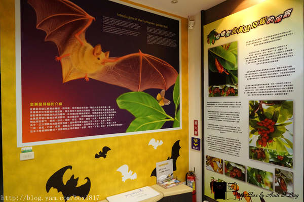 【雲林。水林】預約幸蝠。黃金蝙蝠生態館。台灣第一座以蝙蝠保育為主軸的自然旅遊場館
