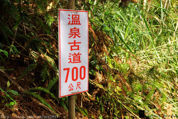 【桃園。復興】嘎拉賀野溪泉。新興溫泉。北部最大溫泉。全台灣最佳的露天三溫暖 @1817BOX部落格