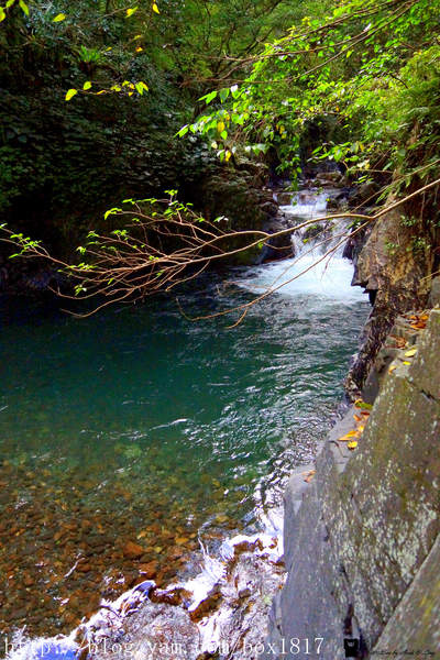 【桃園。復興】嘎拉賀野溪泉。新興溫泉。北部最大溫泉。全台灣最佳的露天三溫暖