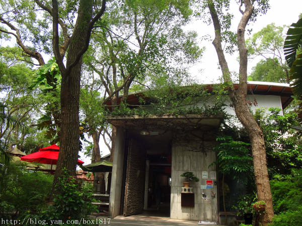 【苗栗。通霄】上田咖啡莊園。綠色建築。樟樹森林。咖啡烘焙 @1817BOX部落格