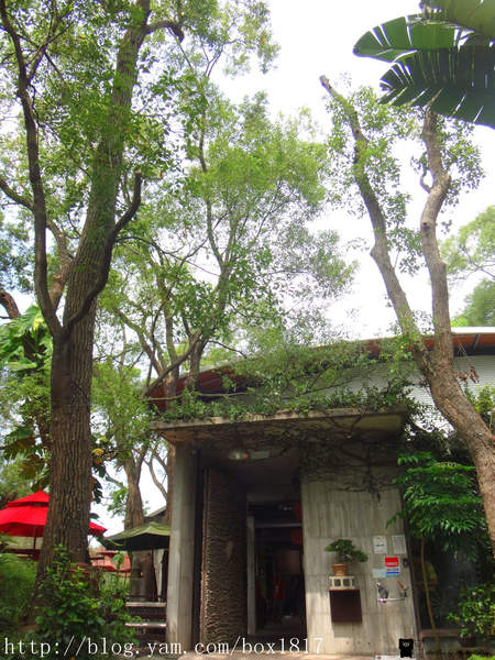 【苗栗。通霄】上田咖啡莊園。綠色建築。樟樹森林。咖啡烘焙 @1817BOX部落格