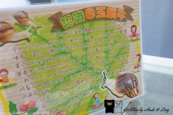 【彰化。溪湖】蝸老闆風味餐廳。品嚐世界四大名菜之一。台灣小品蝸牛生態觀光農場 @1817BOX部落格