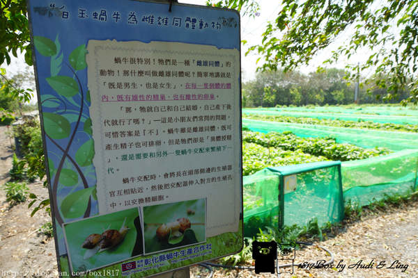 【彰化。溪湖】台灣小品蝸牛生態觀光農場。參觀環境篇。4/25正式開幕
